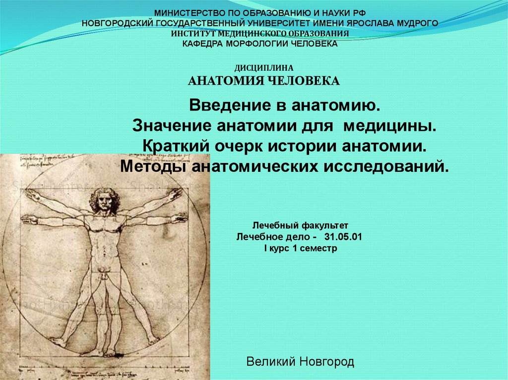 Значение анатомии для медицины. Введение в анатомию. Значение анатомии. Значение анатомии для человека.