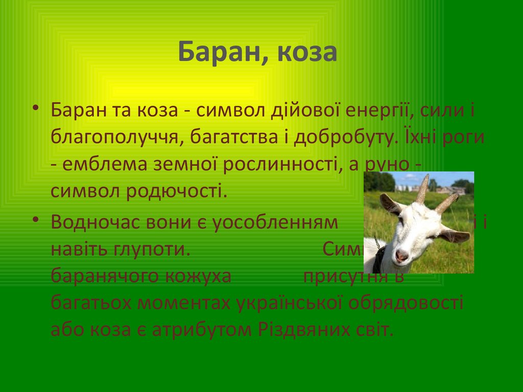 Баран, коза