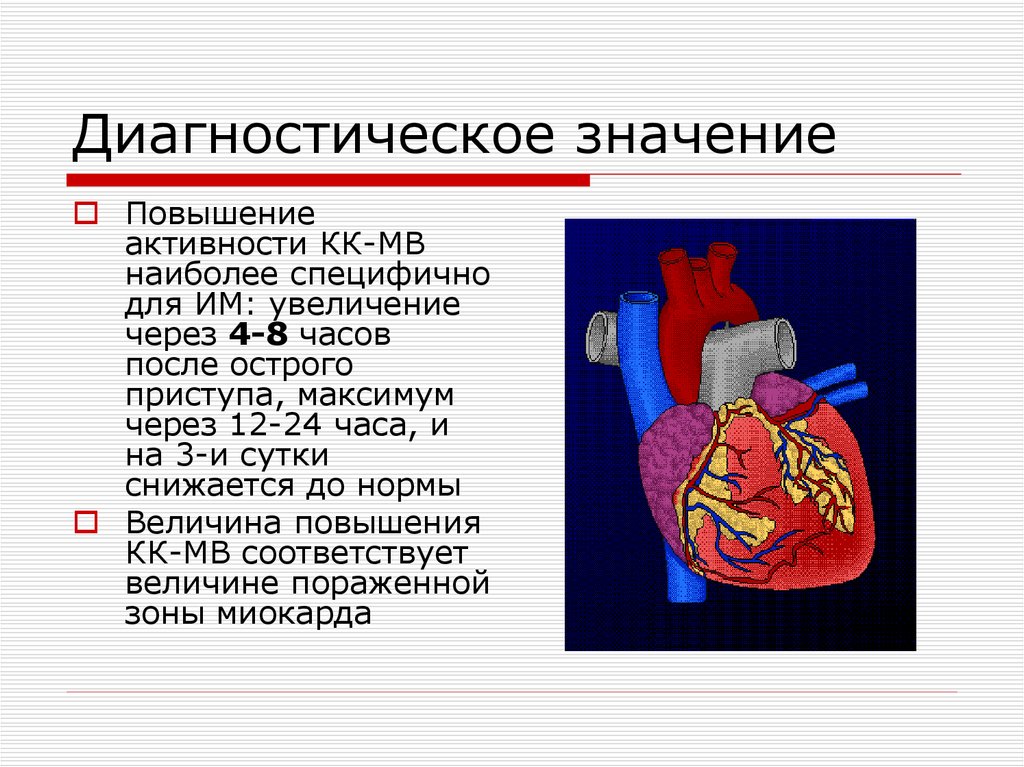 Что значит повышение. Диагностическое значение это. Диагностическое значение звуков. Диагностическое значение странгурии. Диагностическое значение Мелены.