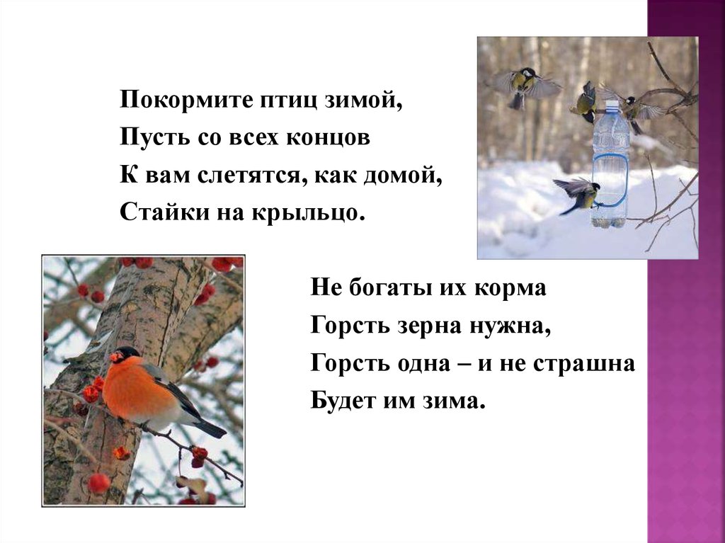 Как помочь птицам зимой. Покормите птиц зимой пусть со всех концов к вам слетятся как домой. Презентация как помочь зимующим птица. Урок по окружающему миру как помочь зимой птицам. Покормите птиц зимой конец.