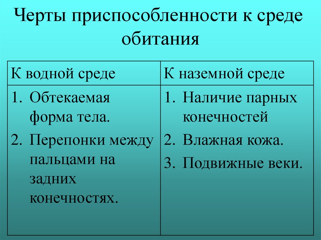 Пользуясь фотографиями или рисунками животных определите черты приспособленности к способу добычи