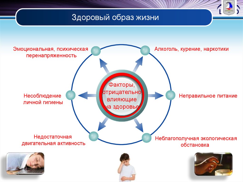 Влияние здорового образа жизни на организм человека проект