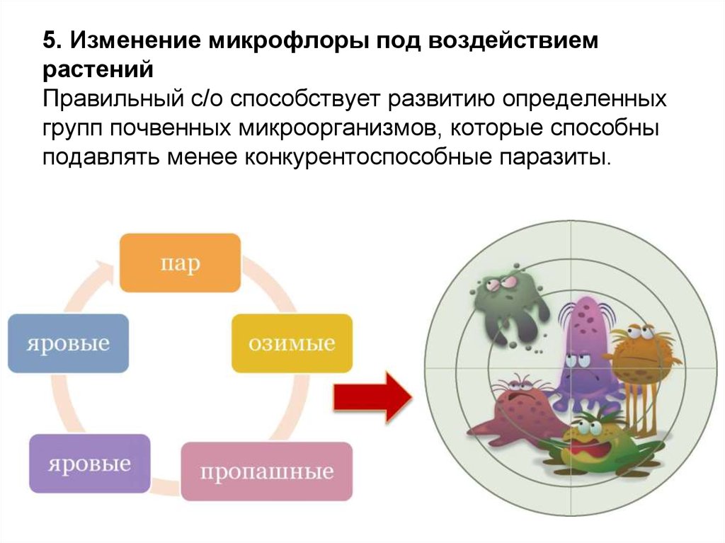 5 изменения. Изменение микрофлоры под воздействием растений. Научные основы севооборота. Изменение микробиоценоза. Влиянием севооборотов и монокультур на почвенное микронаселение.