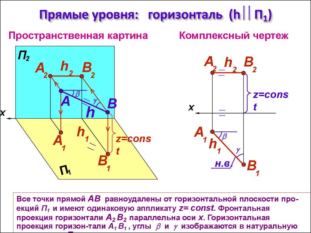 Горизонталь. Прямая параллельная горизонтальной плоскости п2. Фронтально-проецирующая прямая параллельна п1 и п2. Горизонтально-проецирующая прямая параллельна п1 и п2. Проекция горизонтальной прямой, параллельная оси.