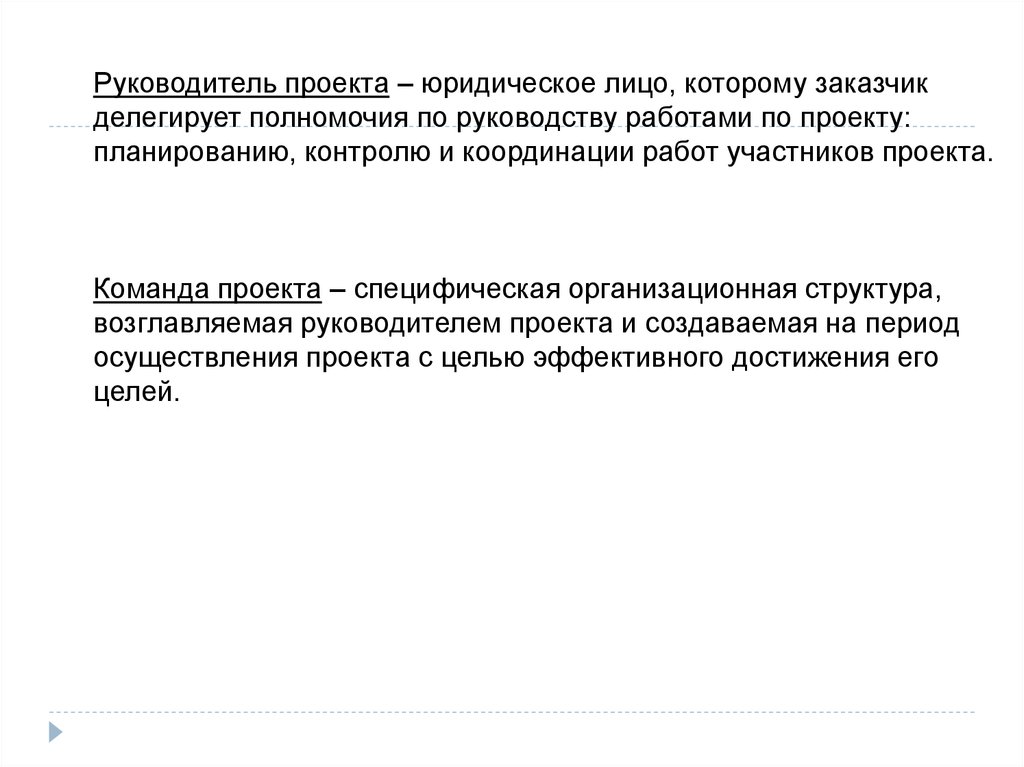 Специфическая организационная структура возглавляемая руководителем проекта