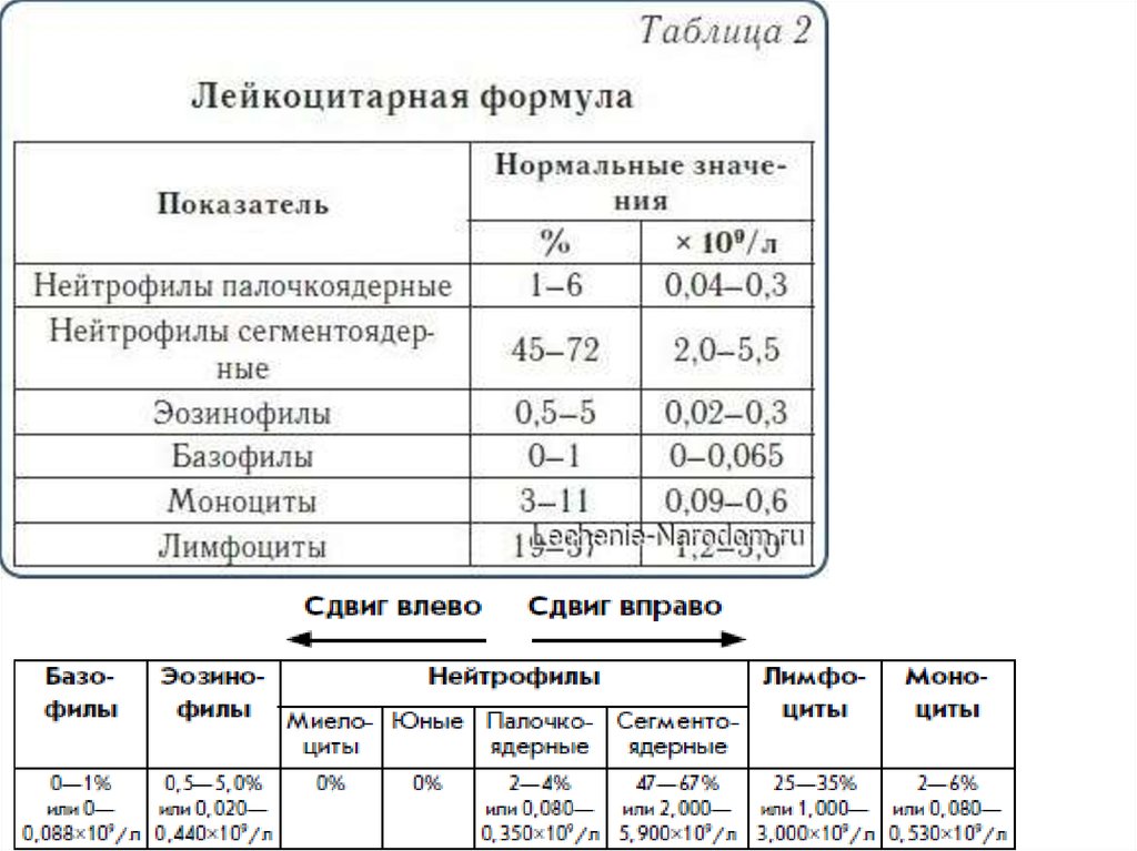 Лейкоцитоз формула