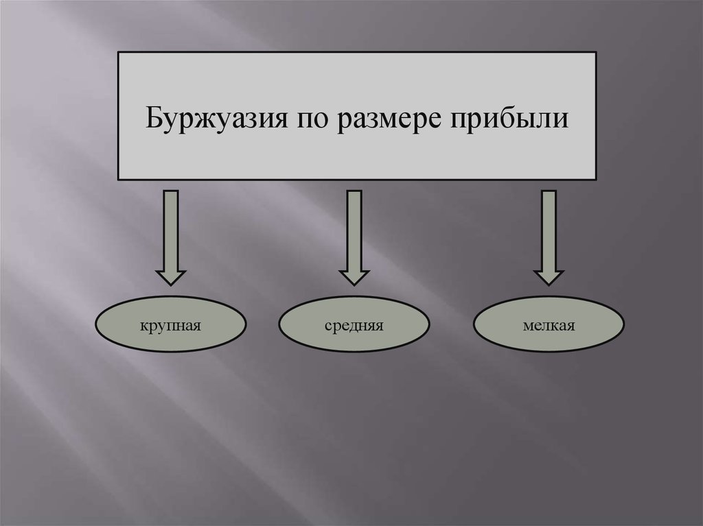 Поддержка буржуазии