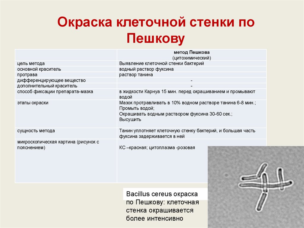 Верно ли что рисунок или окраска позволяющие отличить одну марку от другой называют логотипом