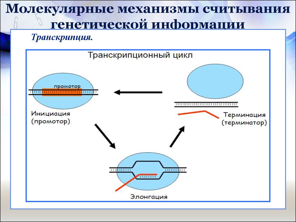 book heat pump technology