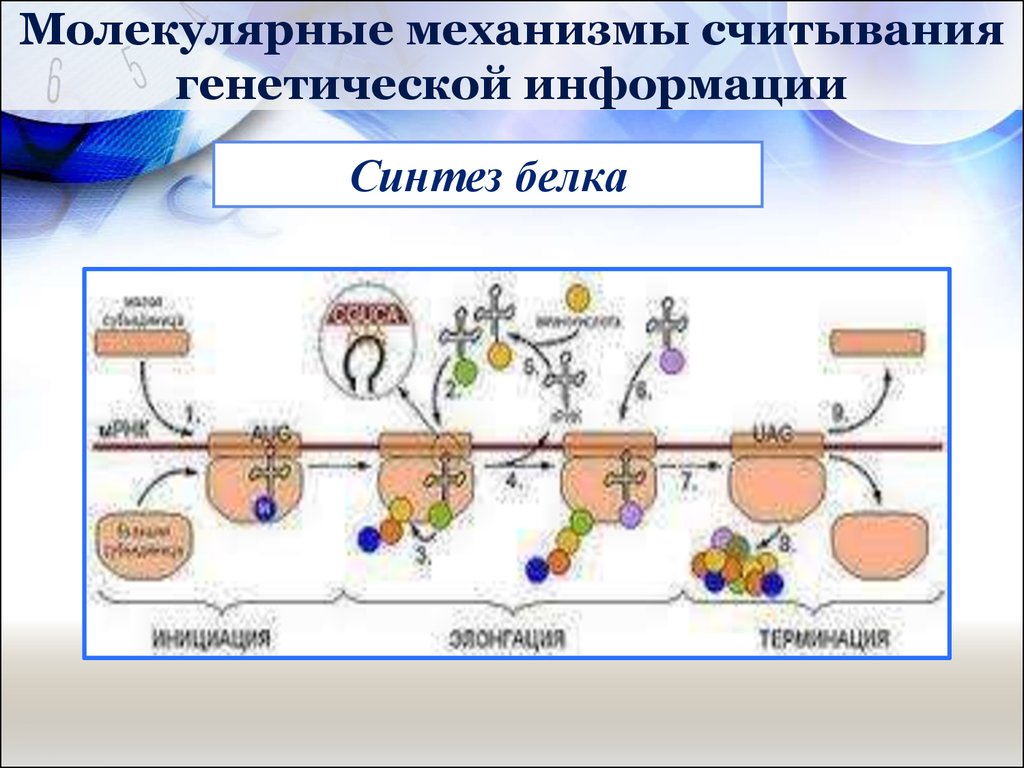 lorentzian