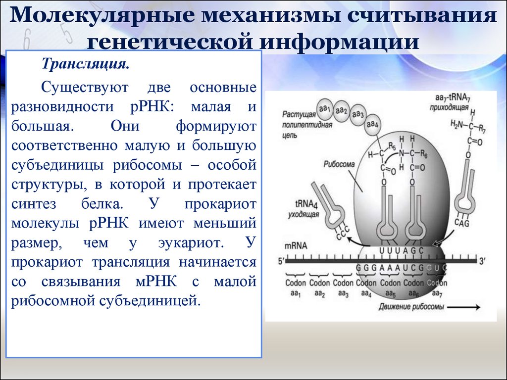 ebook как продавать дорогие и очень