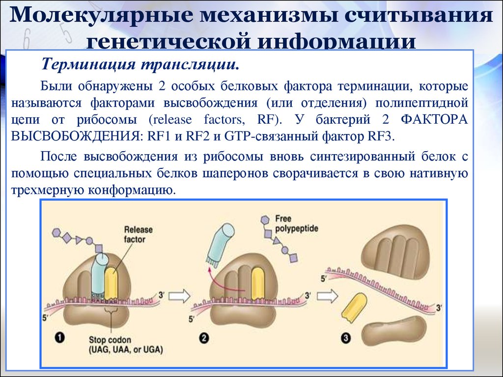 ранняя диагностика артериальной