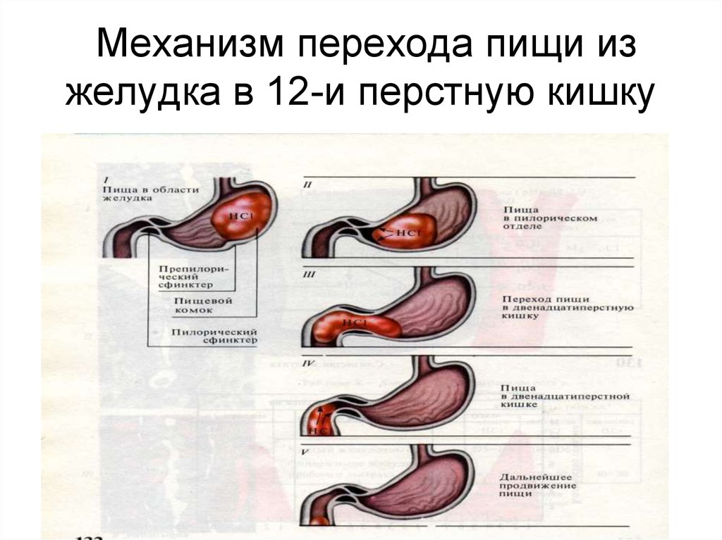 Через сколько попадает