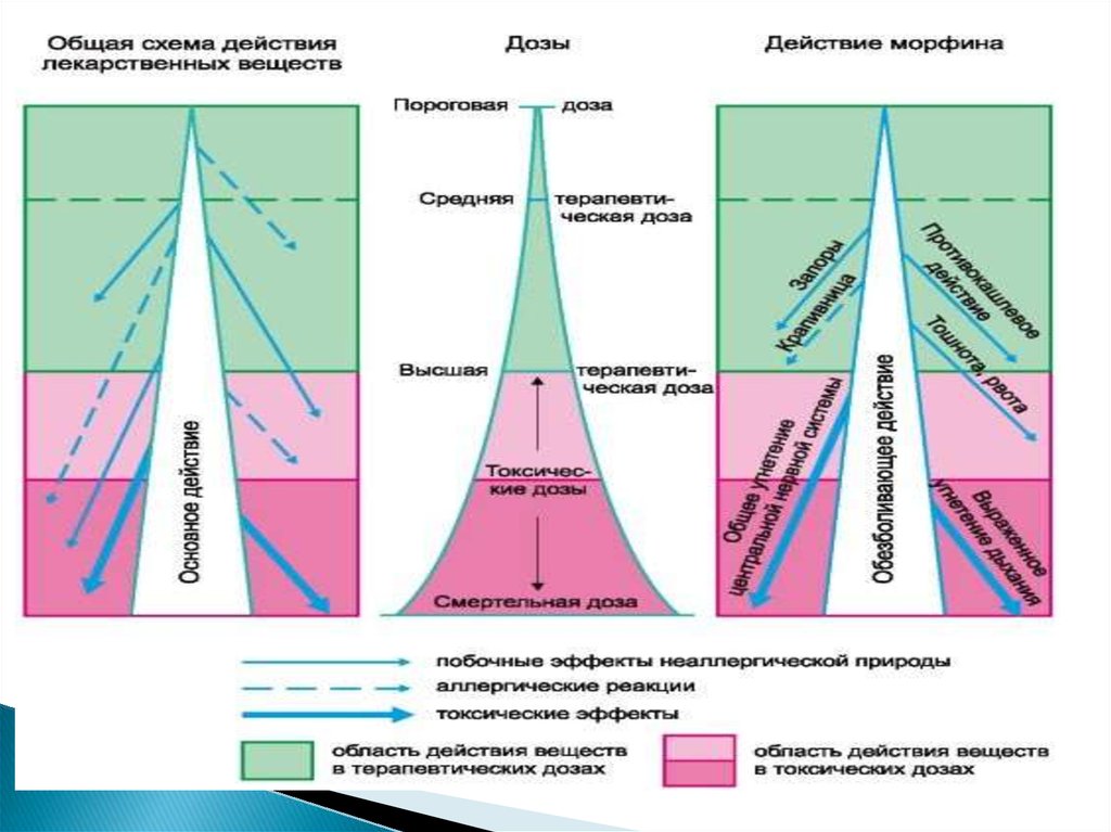 Схема проявления свойств организмов в зависимости от силы действия фактора