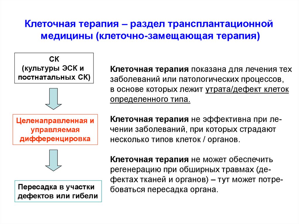 Цель клеток. Клеточная терапия. Методы клеточной терапии. Цели клеточной терапии:. Клеточная терапия этапы.