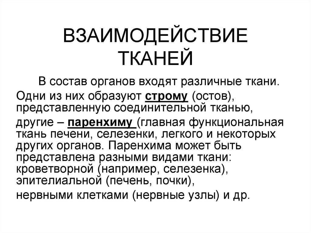 Взаимосвязь тканей