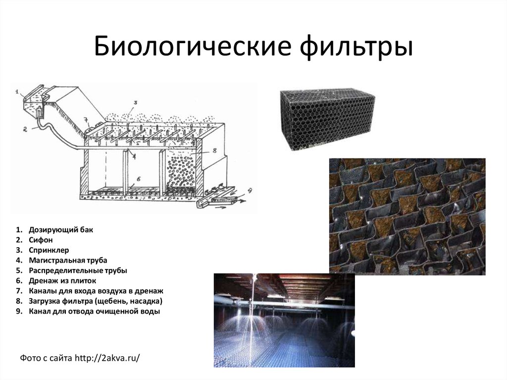 Биофильтры для очистки сточных вод схема