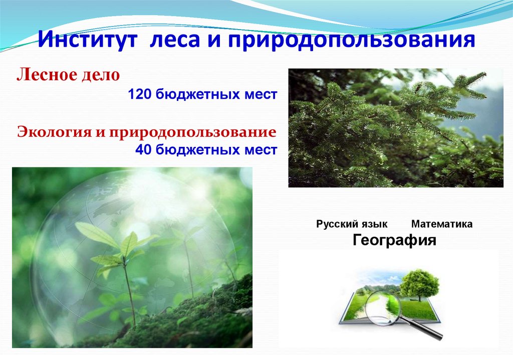 Институт леса и природопользования
