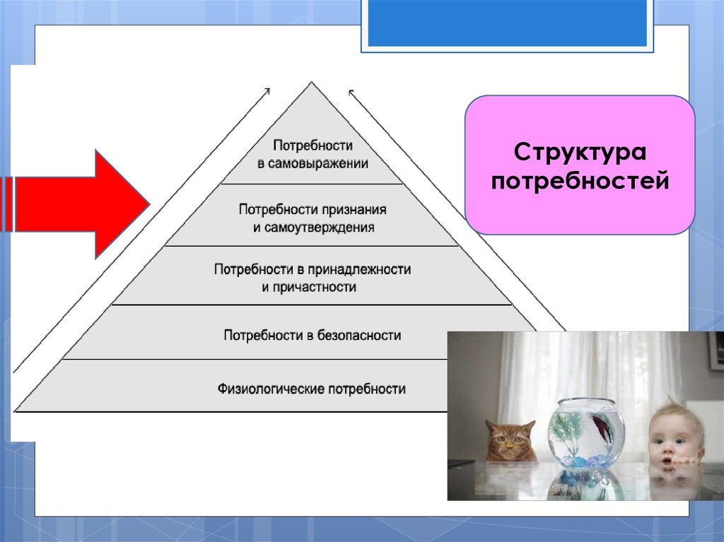 Структура потребностей. Потребности и их структура. Потребности структура потребностей. Структура потребностей общества.