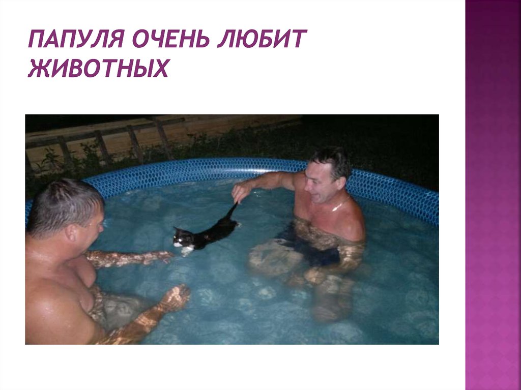 Папуля очень любит животных