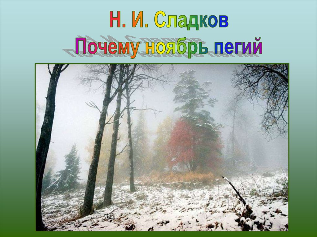 Зачем ноябрь. Николай Сладков почему ноябрь Пегий. Н Сладков почему ноябрь Пегий. Рассказ Сладкова почему ноябрь Пегий. Почему ноябрь Пегий.