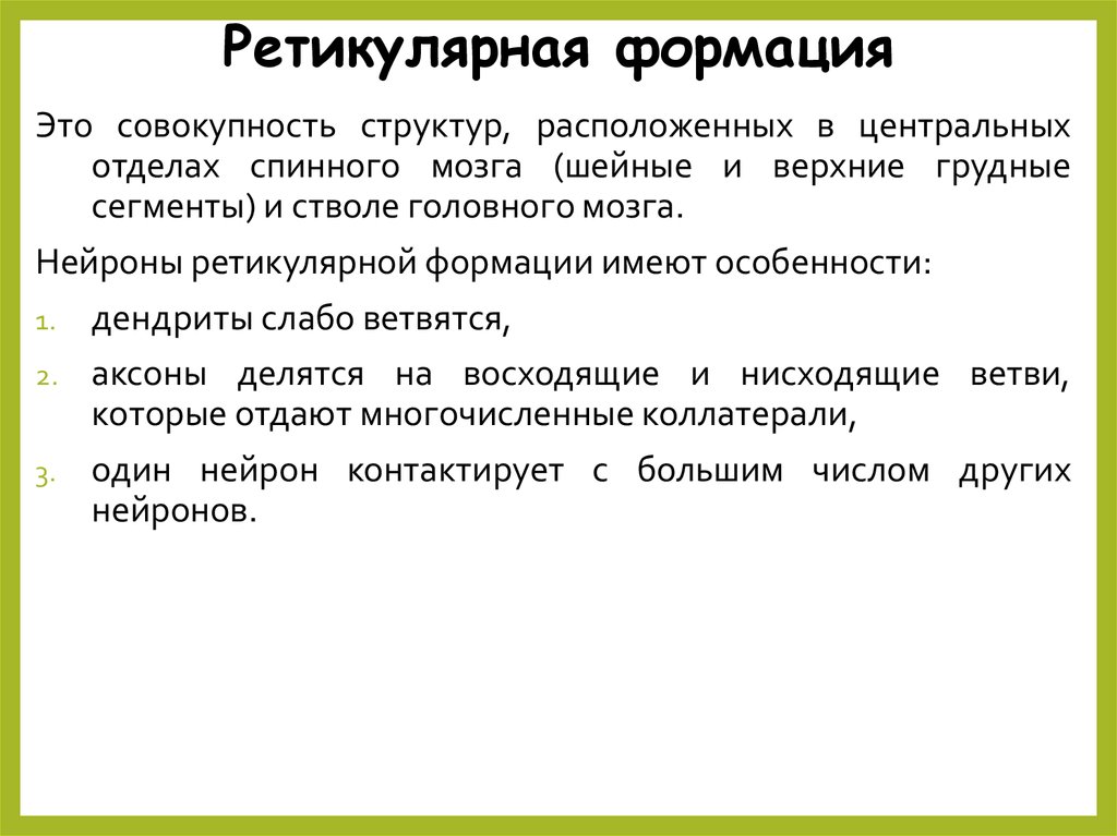 Формация это. Ретикулярная формация спинного мозга. Нейроны ретикулярной формации спинного мозга. Ретикулярная формация спинного мозга функции. Ретикулярная формация спин.