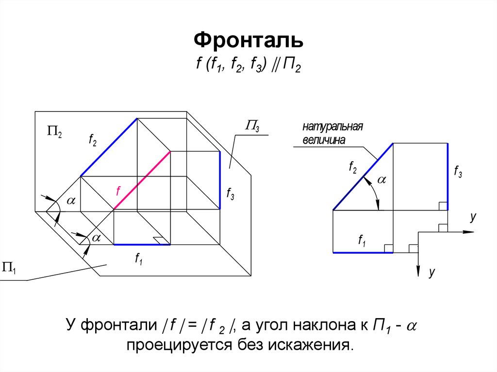 Фронталь