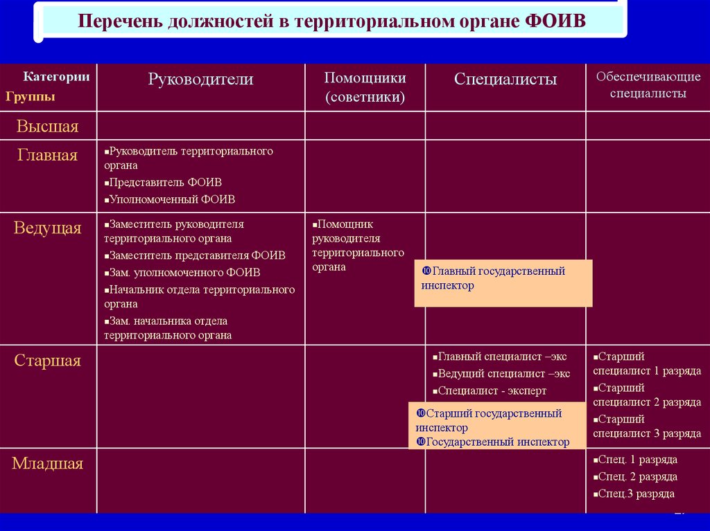 Группы должностей государственной гражданской службы. Старшая группа должностей. Должности и группы должностей. Ведущая группа должностей. Старшая группа должностей категории специалисты.