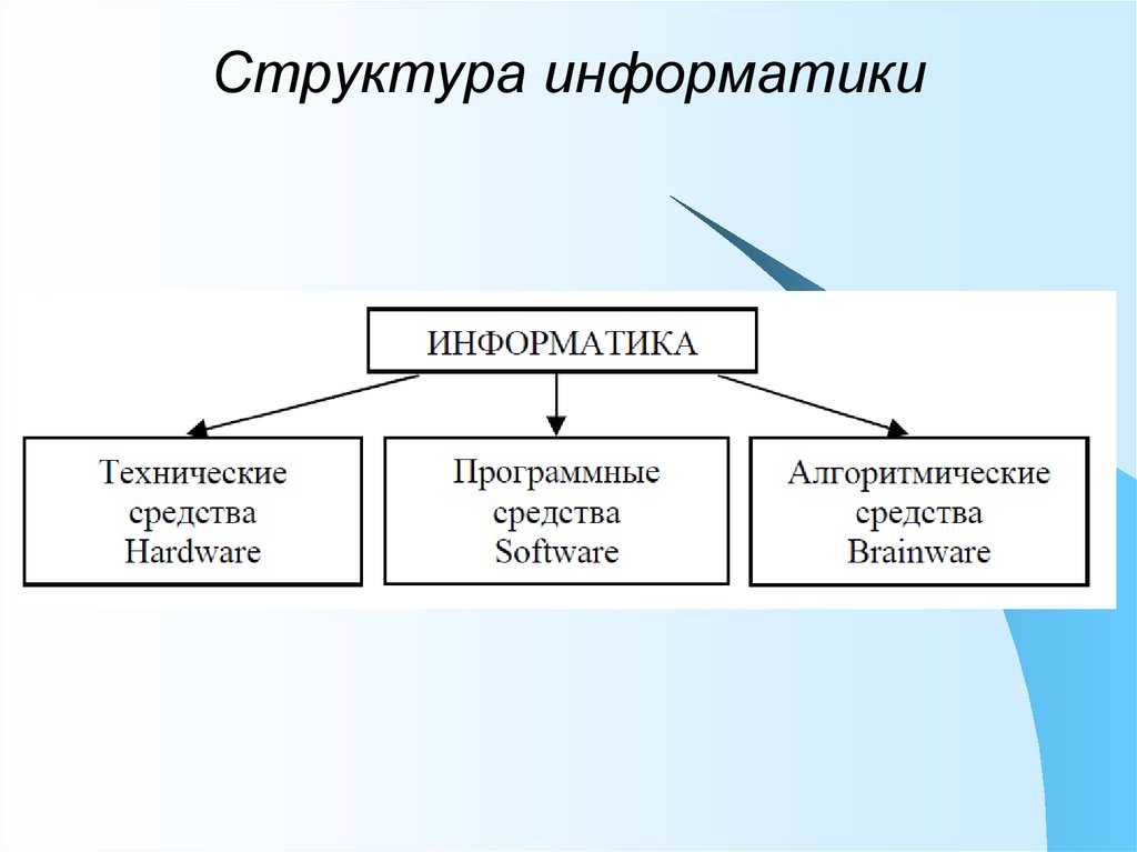 Структура проекта по информатике