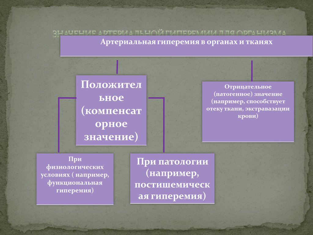 Артериальная гиперемия патофизиология презентация