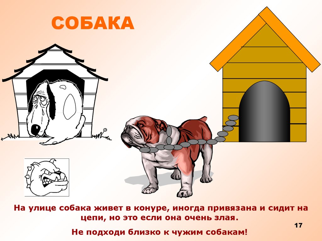 Жил на улице щенок. Собака в будке на цепи. Собака живет в конуре. Будка для собаки. Пес на цепи в будке.