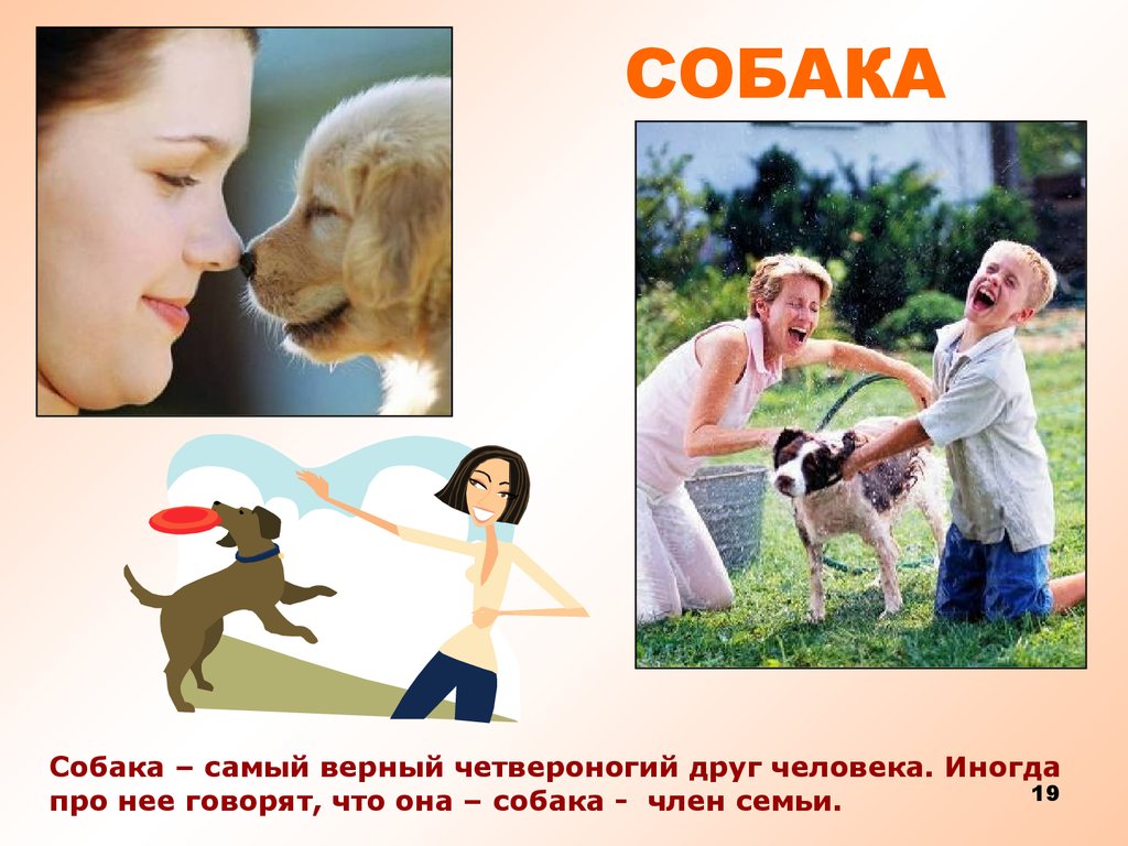 Собака и человек 1 класс. Собака друг человека. Собака самый верный друг человека. Презентация на тему собака верный друг. Собака друг человека презентация.