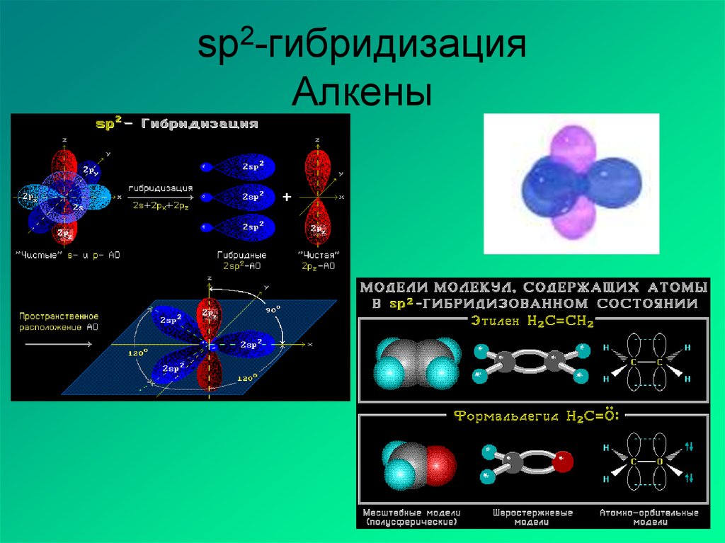 Гибридизация калия. Sp2- гибридизация в молекуле. Молекула с гибридизацией SP И sp2. Sp3 гибридизация алкенов. Полиэтилен гибридизация sp2.