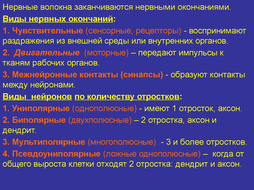 Нервные окончания. Чувствительные и двигательные нервные окончания. Классификация чувствительных нервных окончаний. Классификация двигательных нервных окончаний. Окончания двигательных нервных волокон.