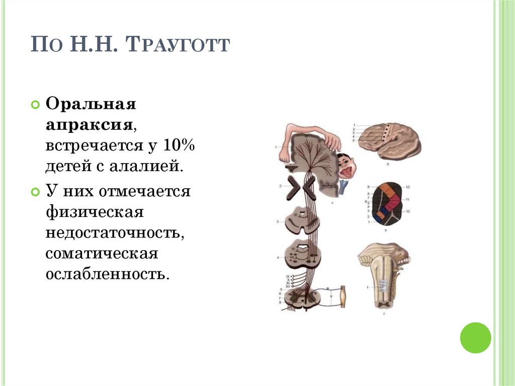 Апраксия алалия