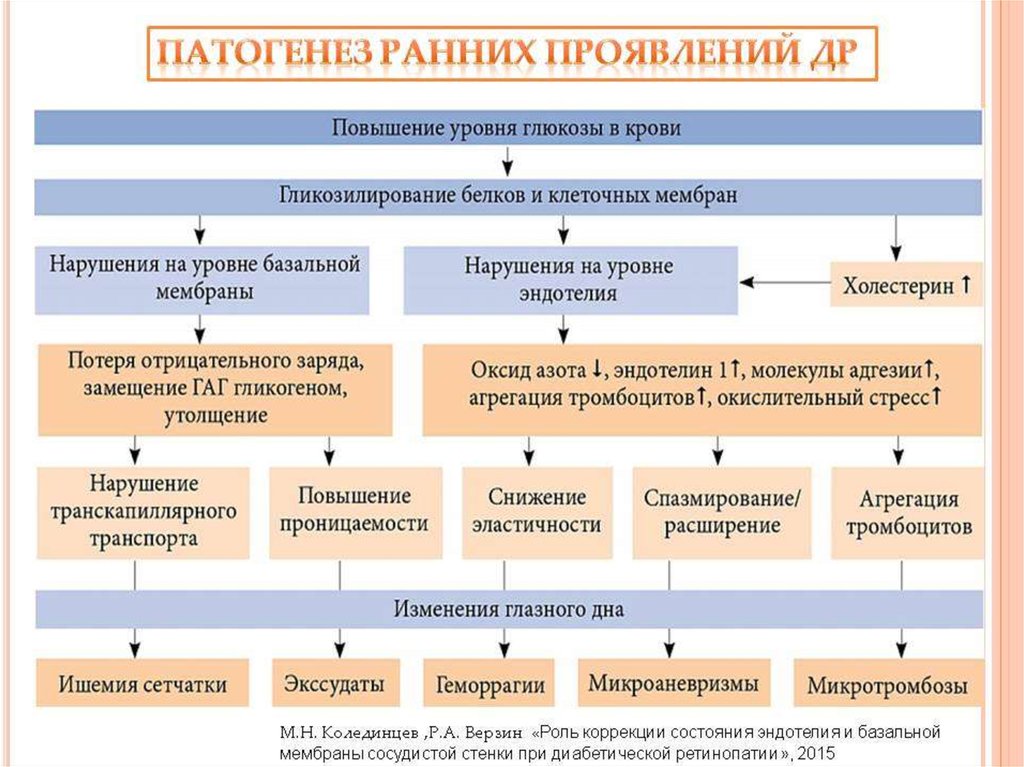 Профилактика патогенеза. Диабетическая ретинопатия дифференциальный диагноз. Диабетическая ретинопатия патогенез кратко. Патогенез диабетической ретинопатии схема. Ретинопатия механизм развития.