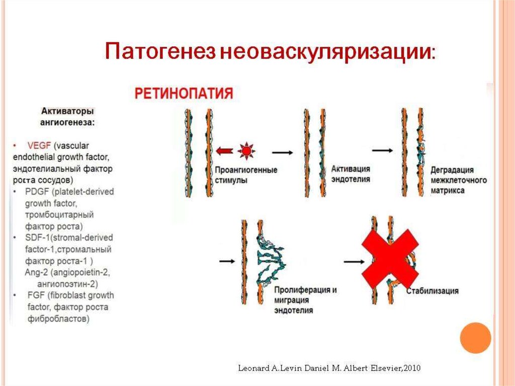 Контролируемая доставка факторов ангиогенеза презентация