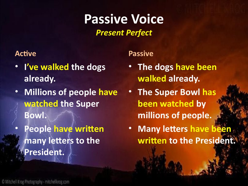 Passive Voice Present Perfect