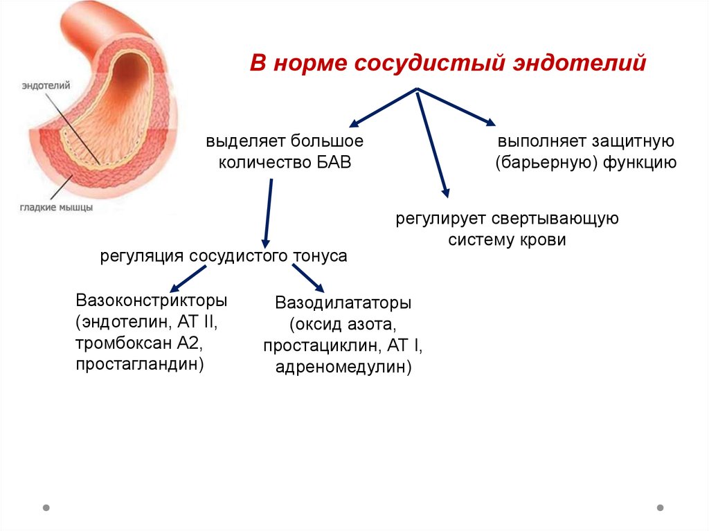 Виды сосудистого тонуса