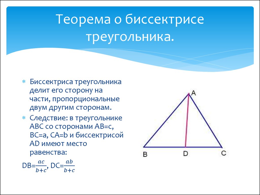 Любая биссектриса треугольника делит его пополам. Теорема о биссектрисе треугольника. Теорема о биссектрисереугольника. Доказательство биссектрисы треугольника. Теорема о биссектрисе угла треугольника.