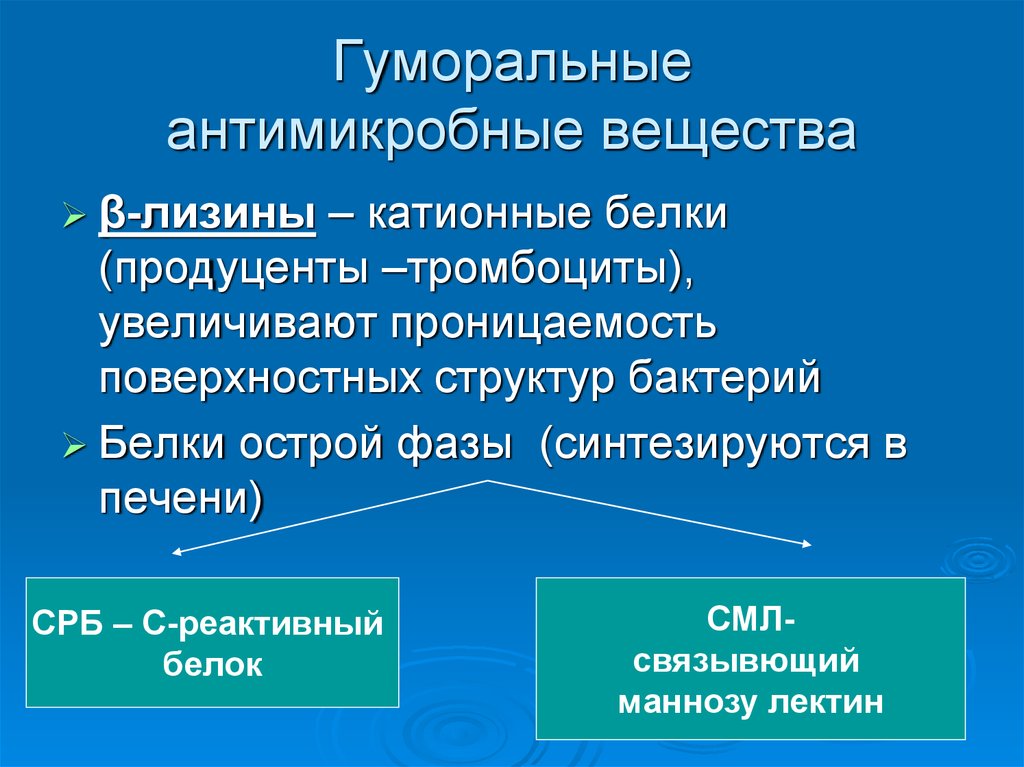 Катионные белки. Катионные белки в иммунологии. Гуморальные антимикробные вещества. Катионные противомикробные белки. Катионные антимикробные белки это.