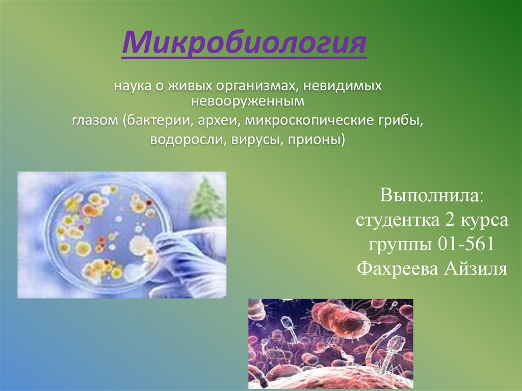 Микроорганизмы это живые организмы. Микробиология это наука. Микробиология наука о микробах. Микробиология наука о живых организмах. Микробиология изучает бактерии.