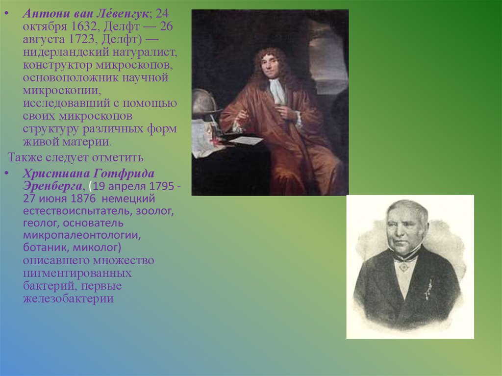 Нидерландский натуралист. Антони Ван Левенгук микробиология. Антони Ван Левенгук дом Делфт. Дом Левенгука в Делфте.