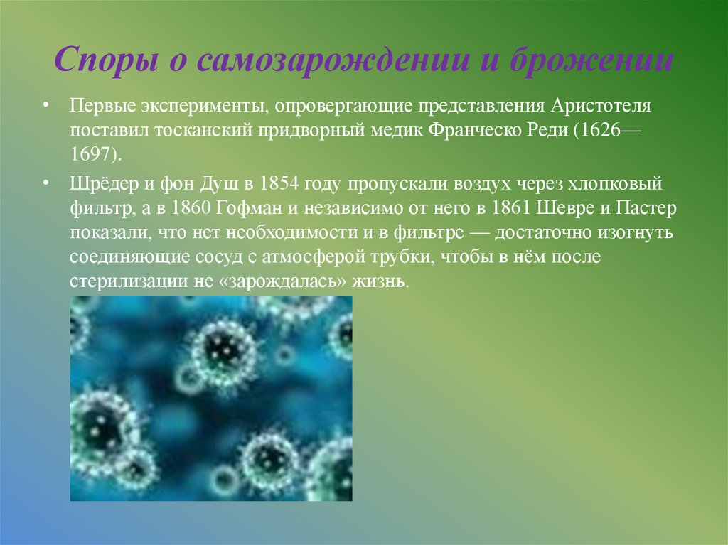 Вирусы водорослей. Вирусы Архей. Микроскопические грибы и водоросли. Микробиология фон прионы. Разрешение спора о самозарождении жизни.