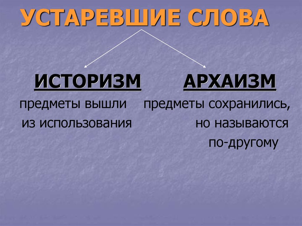 Презентация историзмы архаизмы неологизмы 5 класс