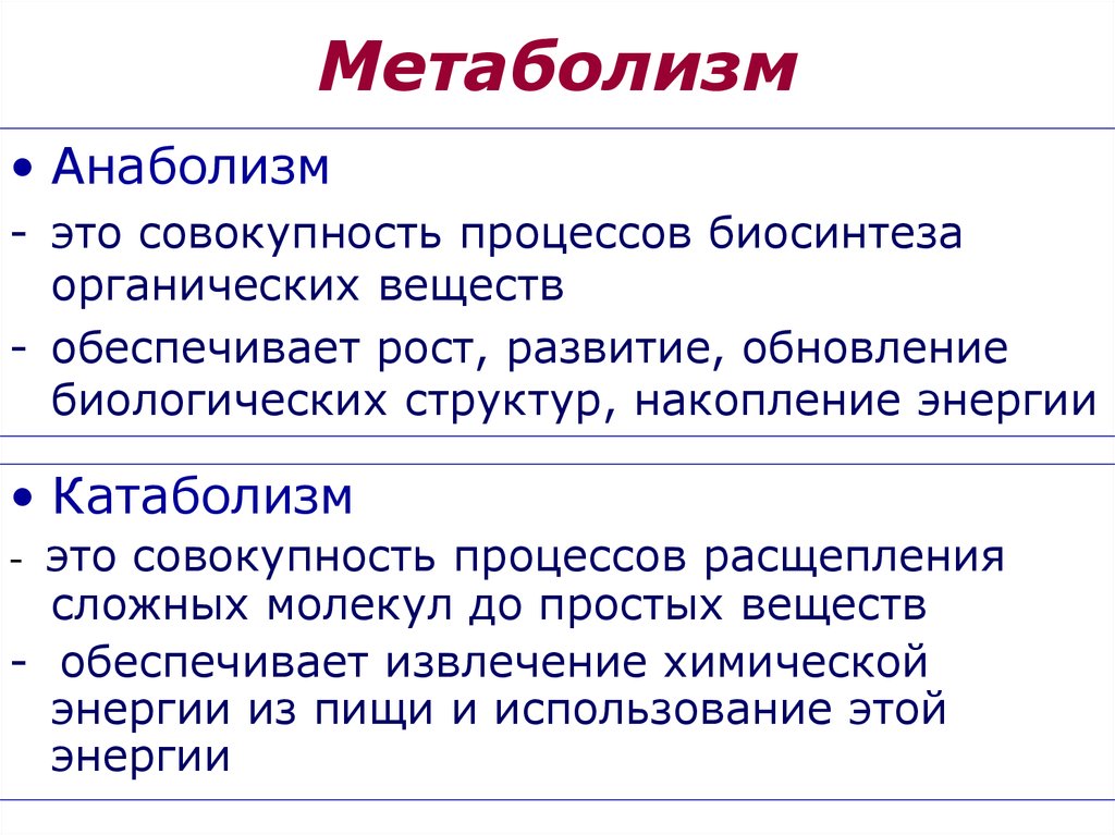 Обмен веществ метаболизм это совокупность