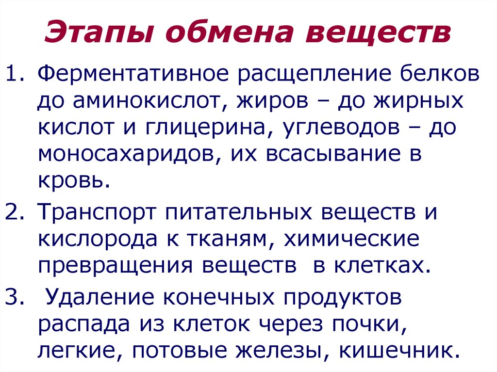 Обмен характеристика. Каковы этапы обмена веществ кратко. 3 Этапа обмена веществ и энергии в организме. Перечислите основные этапы обмена веществ в организме. Основные этапы обмена веществ в клетке.