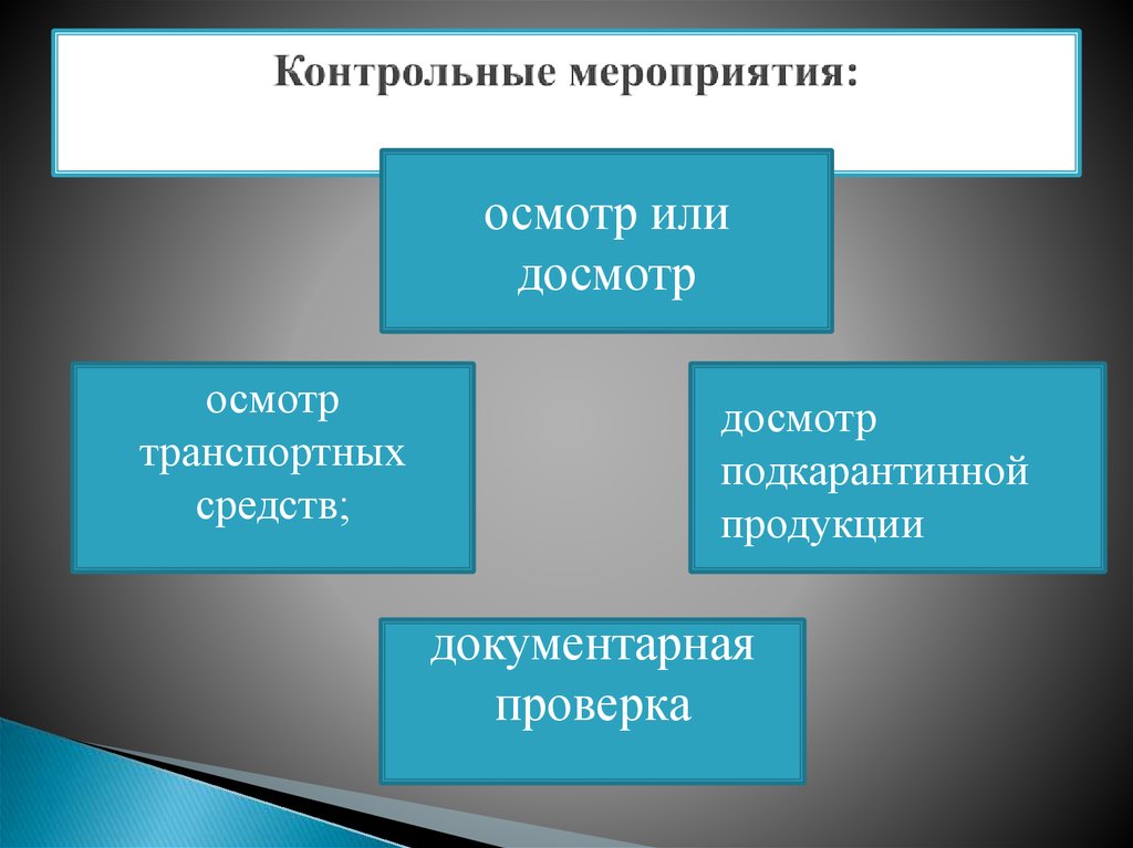 Виды контрольных мероприятий. Контрольные мероприятия. Проверочные мероприятия. Контрольные мероприятия мероприятий.