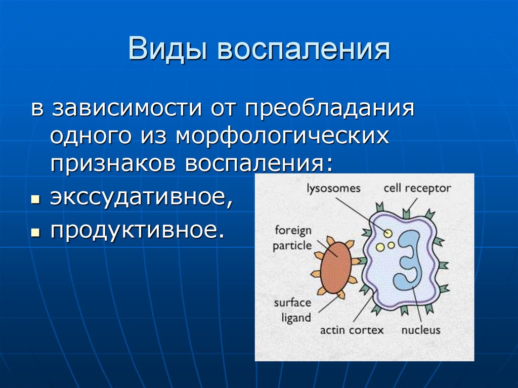 Виды воспаления презентация