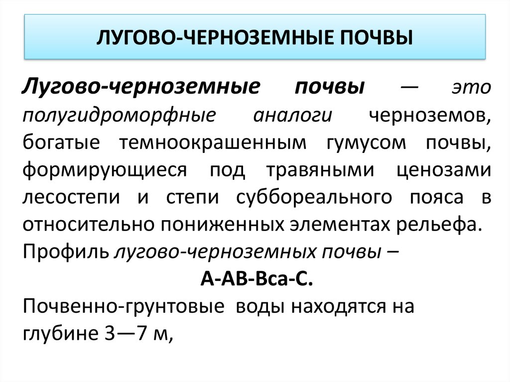 Лугово черноземные почвы. Лугово-сероземные почвы. Лугово-черноземные. Лугово-черноземные почвы профиль.